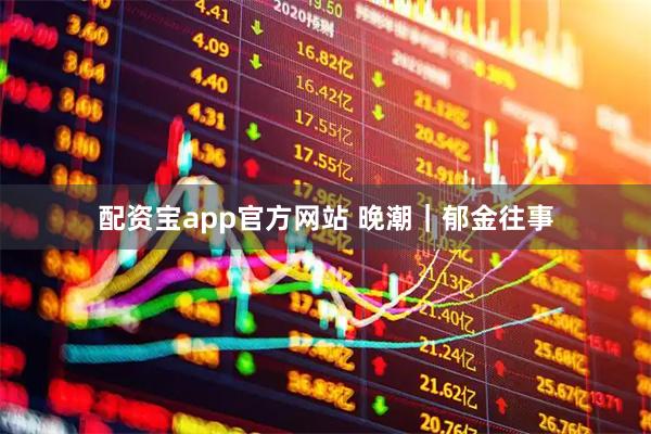 配资宝app官方网站 晚潮｜郁金往事