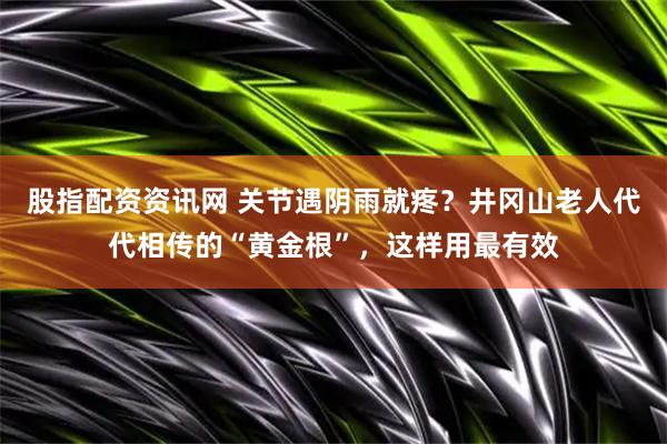股指配资资讯网 关节遇阴雨就疼？井冈山老人代代相传的“黄金根”，这样用最有效