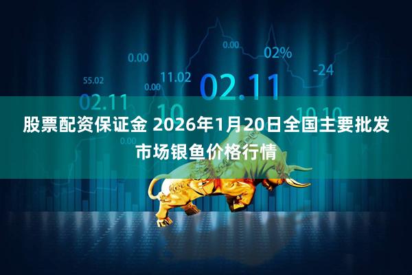 股票配资保证金 2026年1月20日全国主要批发市场银鱼价格行情