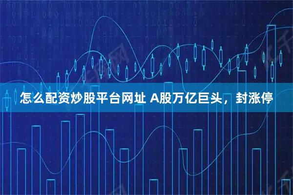 怎么配资炒股平台网址 A股万亿巨头，封涨停